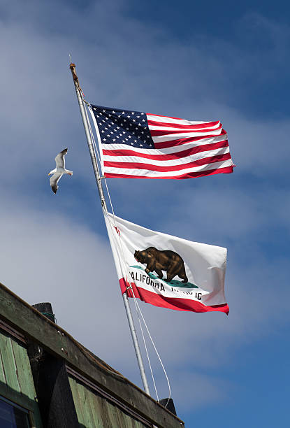 US and California Flag stock photo