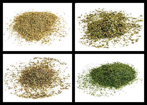 lovage, oregano, dill summit, thyme stock photo