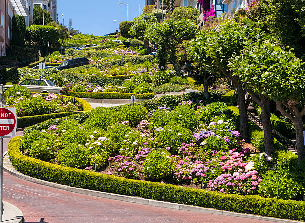 istock Lombard Street in San Francisco 178951059