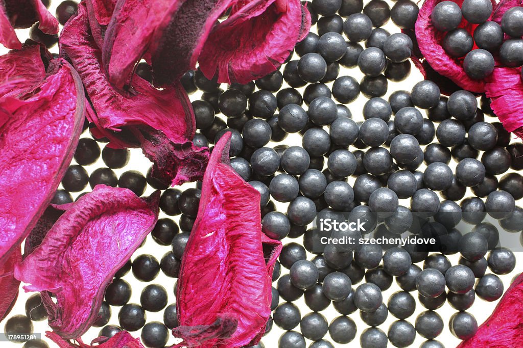 Flowers and Airgun pellets Composition of violet flowers and Air-gun pellets. Composition Stock Photo