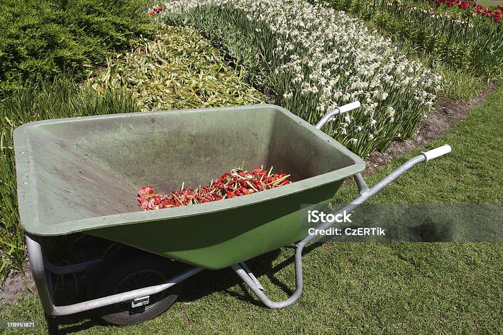 La carretilla - Foto de stock de Agricultura libre de derechos