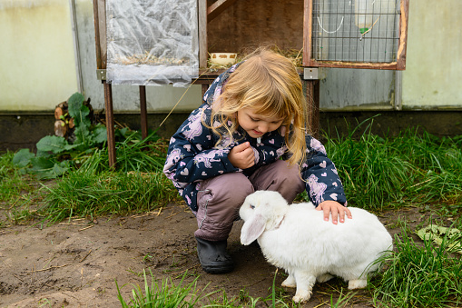 Small, cute girl petting a sweet, white rabbit outdoors, at a farm. It is a sunny autumn day, and the girl is wearing thermo jacket and pants