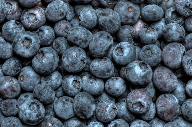 Blueberry background