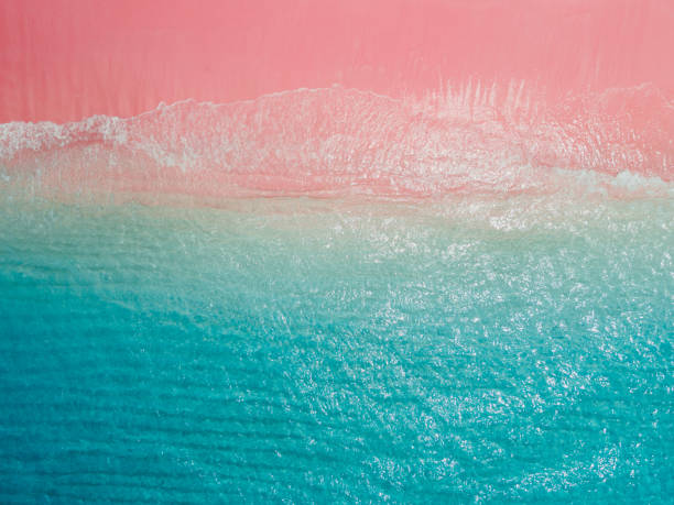 istock Amazing pink beach with blue ocean. Komodo islands 1789525048