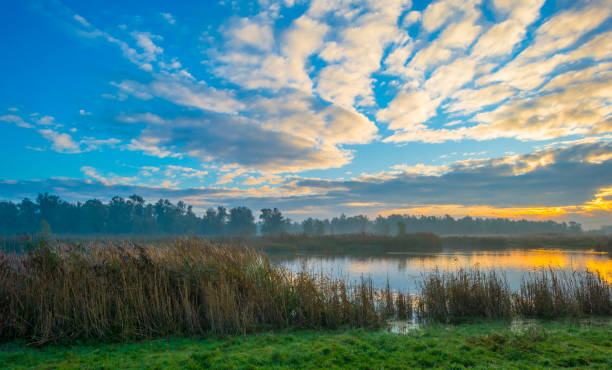 istock White clouds in a blue sky over a natural park at sunrise in winter 1789525074