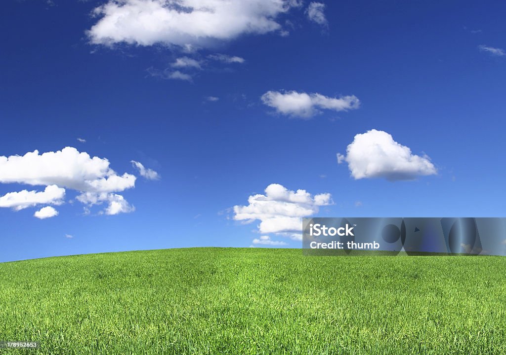 パノラマに広がる眺めをもつ静かな草原 - Horizonのロイヤリティフリーストックフォト