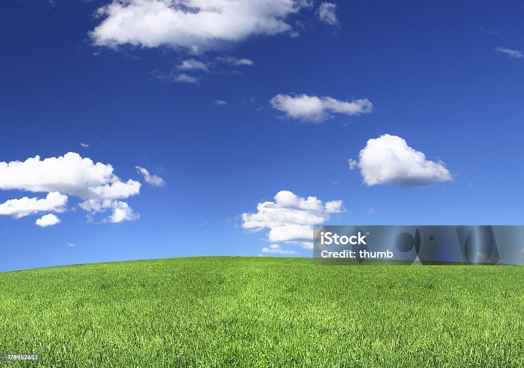 Vista panorâmica da tranquila grassland - Foto de stock de Azul royalty-free