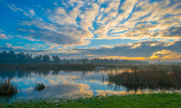 istock White clouds in a blue sky over a natural park at sunrise in winter 1789526702