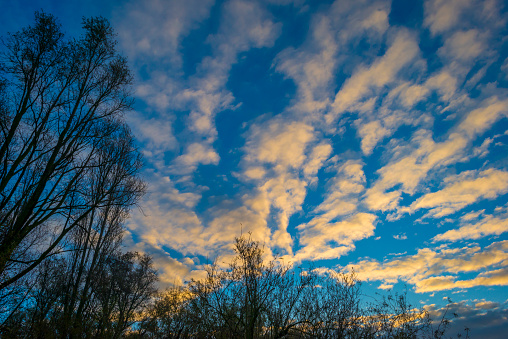White clouds in a blue sky over a natural park at sunrise in winter, Almere, Flevoland, Netherlands, November 12, 2023