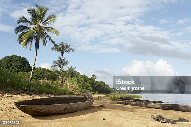Foto de Praia Na Selva e mais fotos de stock de Suriname - Suriname, Natureza, Piroga