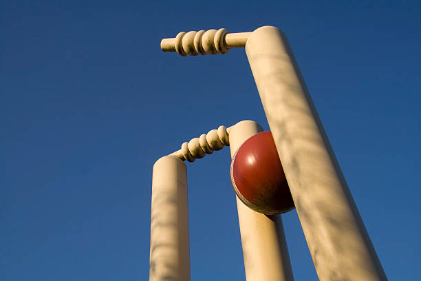 limpio bowled - críquet fotografías e imágenes de stock