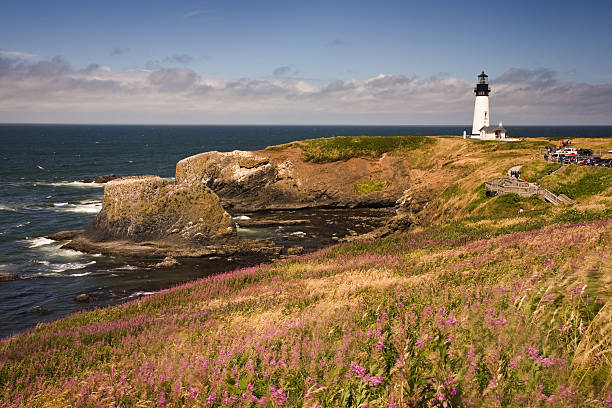 Yaquina Head Lighthouse on a wildflower covered Oregon coast stock photo