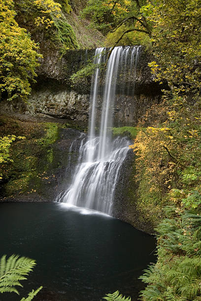 Lower South Falls - Oregon 4382 stock photo