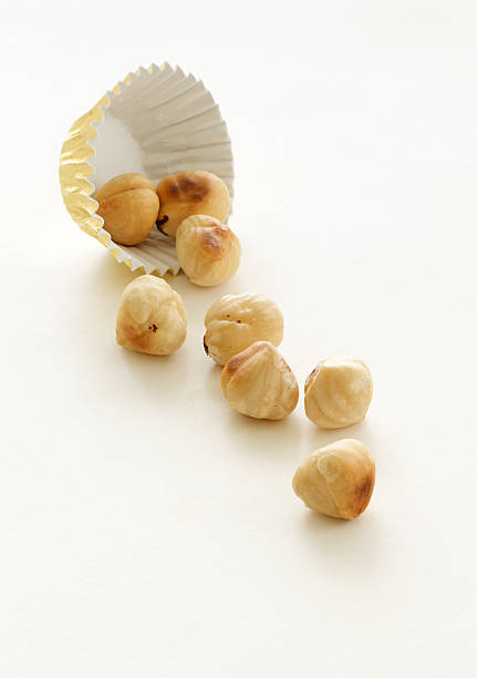 Hazelnuts stock photo