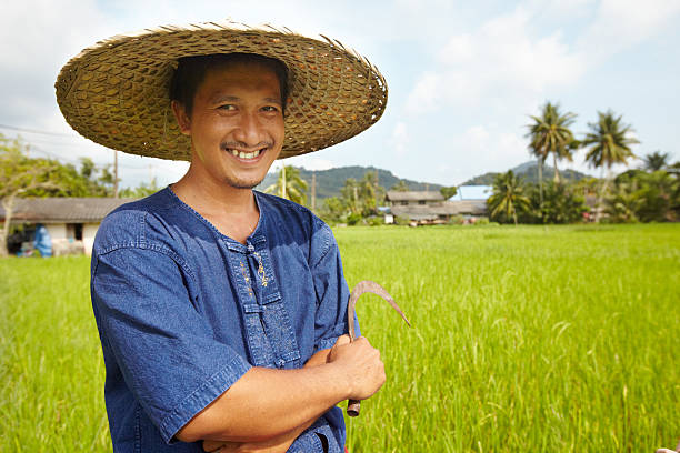 Almost harvest time Portrait of a rice farmer holding a traditional harvesting tool - Thailand its almost time stock pictures, royalty-free photos & images