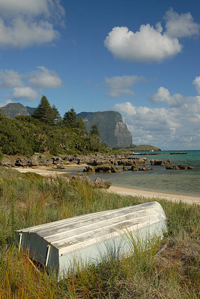 lord howe island - lord howe island foto e immagini stock