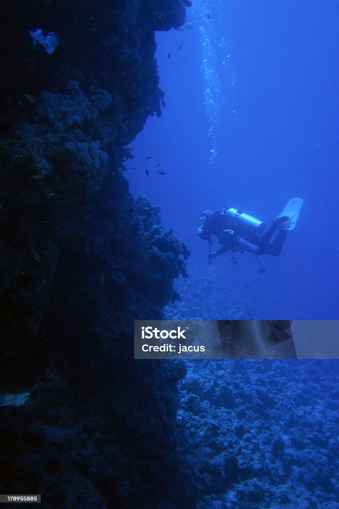 Deep blu immersioni - Foto stock royalty-free di Acqua