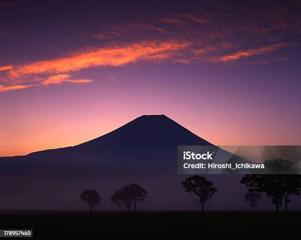 Fujisan 164 - Fotografie stock e altre immagini di Alba - Crepuscolo - Alba - Crepuscolo, Albero, Ambientazione esterna