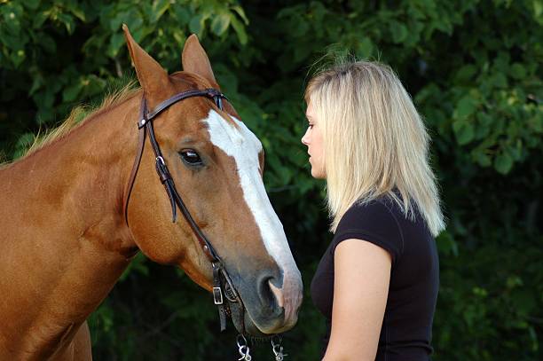 fille et son cheval - bride women standing beauty in nature photos et images de collection