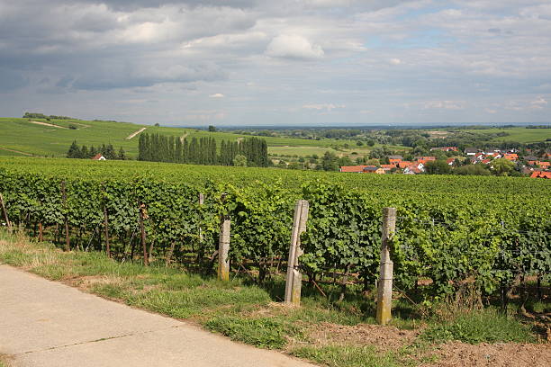 istock Field near wienstrasse 178958268