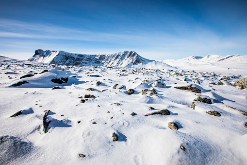 Winter landscape in Dovrefjell National Park, south Norway.