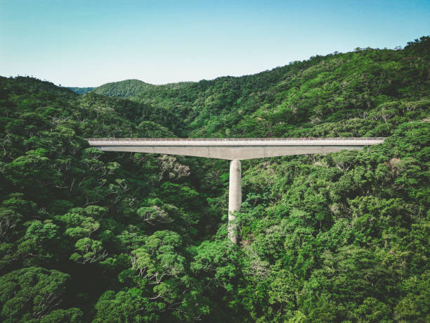 istock nagao bridge, okinawa, japan 1789591964