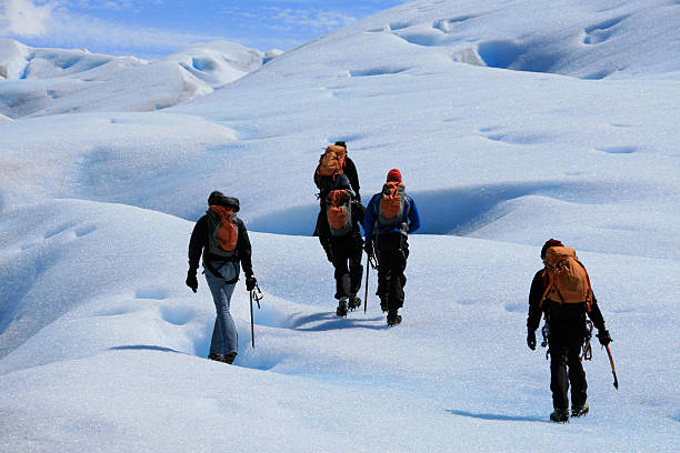 Glacier trekking "Trekking on Glacier Grey, Torres Del Paine National Park, Chilean Patagonia" antarctica travel stock pictures, royalty-free photos & images