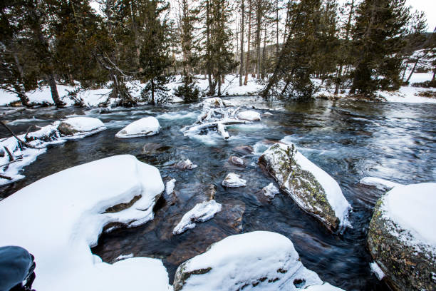 Winter river in Capcir, Cerdagne, Pyrenees, France.