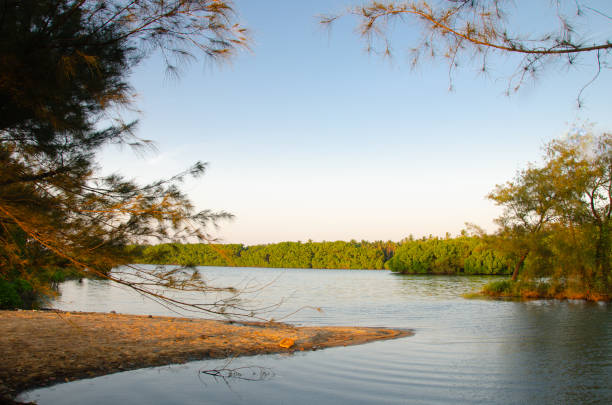 istock Backwaters at Battapady, near Mangalore 1789606760