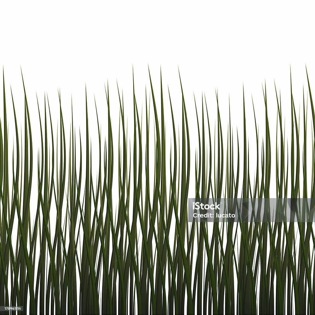 Isolierte Gras (nahtlose Textur - Lizenzfrei Bildhintergrund Stock-Foto