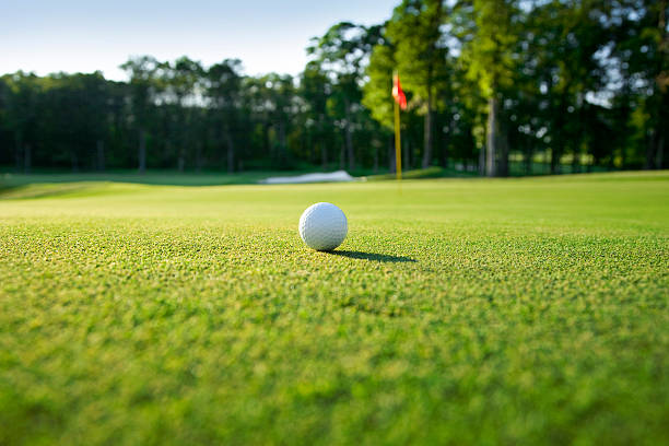 Golf ball sitting on a green with the flagstick nearby stock photo