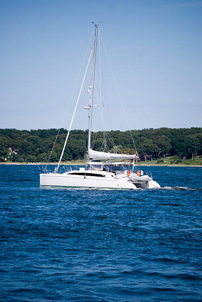 catamaran "Catamaran, in Long Island, New York" catamaran sailing stock pictures, royalty-free photos & images