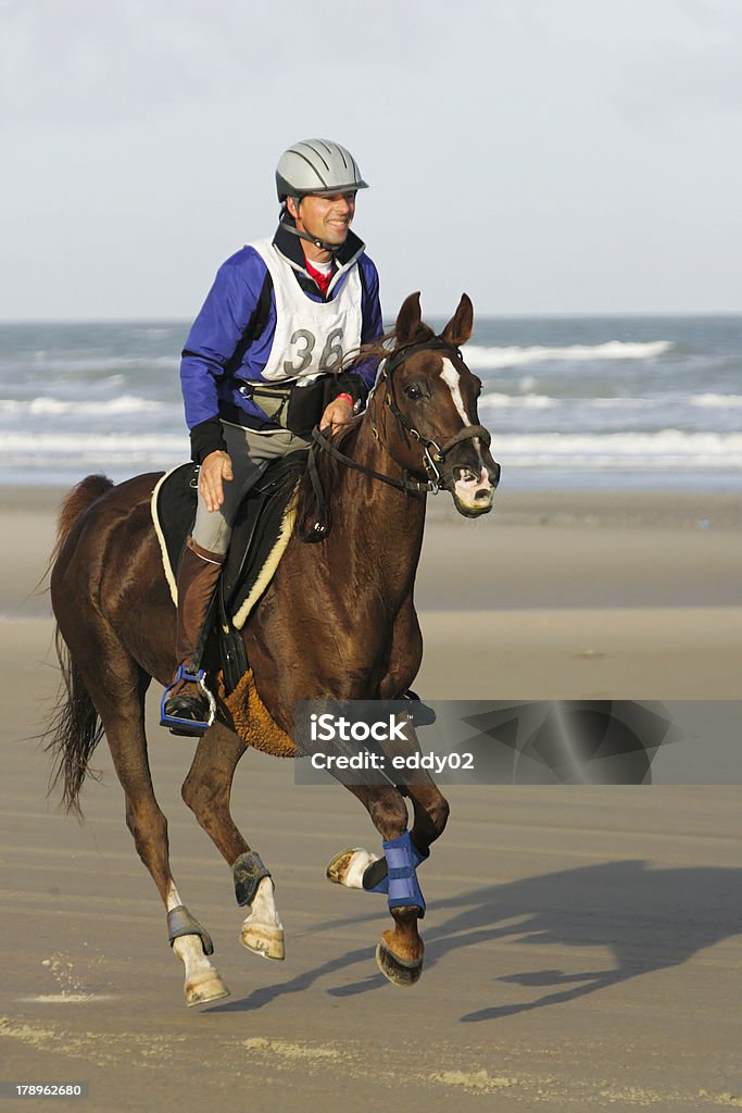 Reiten am Strand - Lizenzfrei Pferd Stock-Foto