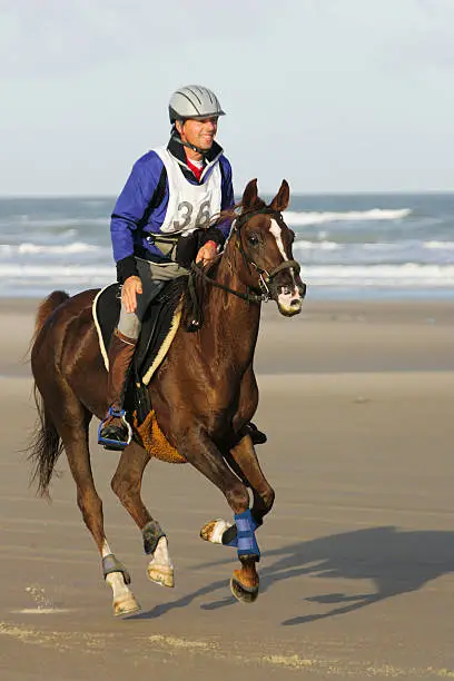 Photo of Horse riding on the beach