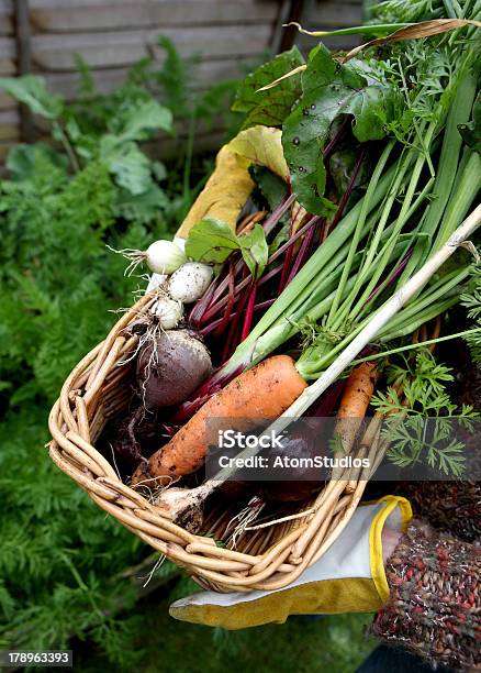 Prodotti Da Giardino - Fotografie stock e altre immagini di Ambientazione esterna - Ambientazione esterna, Barbabietola rossa, Carota