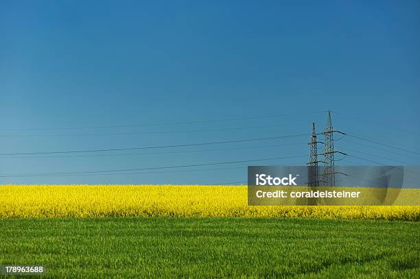 Foto de Hinter Dem Rapsfeld Hochspannung e mais fotos de stock de Agricultura - Agricultura, Amarelo, Azul