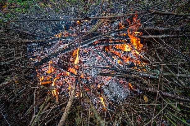 istock Fire made of twigs from garden cleaning 1789638630