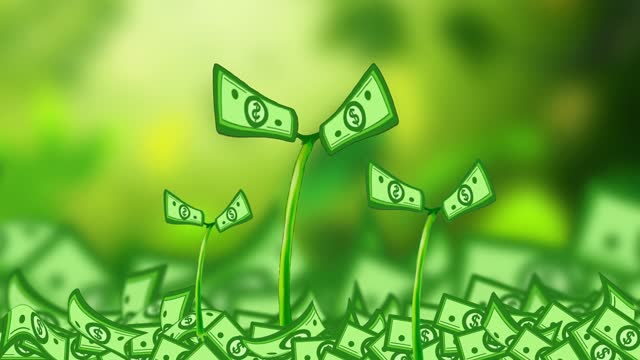 investment video animation with the theme of seeds growing money