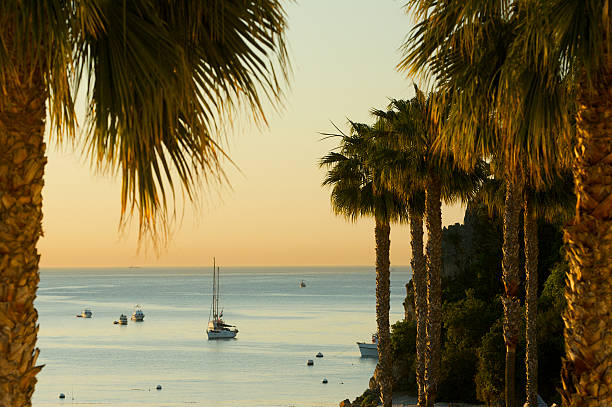 istock Palm Trees with Ocean and Boats 178964101