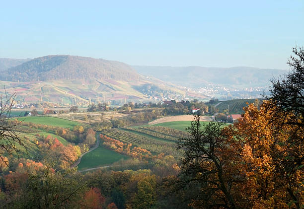 istock rural autumn scenery in sunny ambiance 178964172