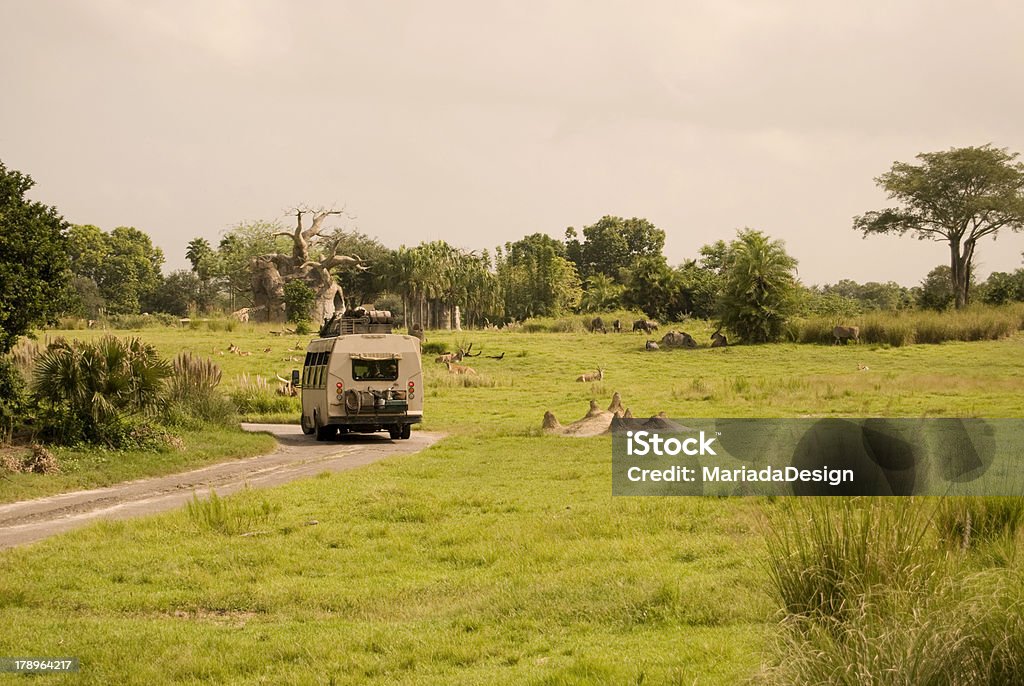 Safari Safari scene with warm filter Animal Stock Photo