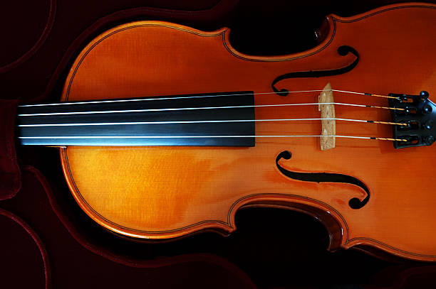 Violin Violin in a dark red velvet case. violin f hole stock pictures, royalty-free photos & images
