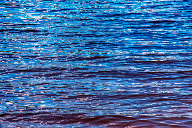 istock Water ripple texture background. Wavy water surface during sunset, golden light reflecting in the water. 1789646697