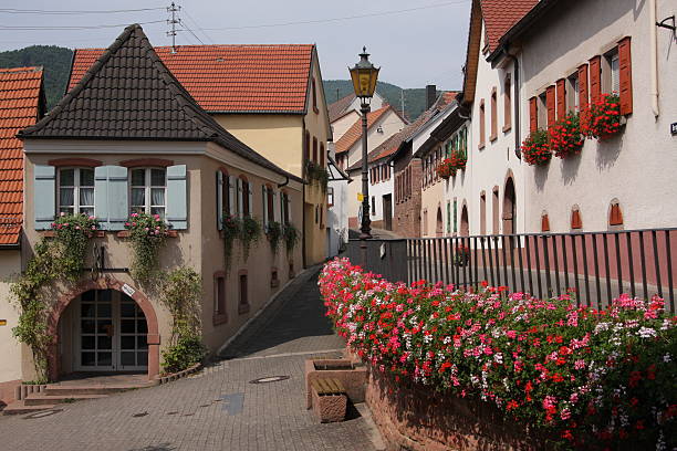 istock Houses and flowers 178964808