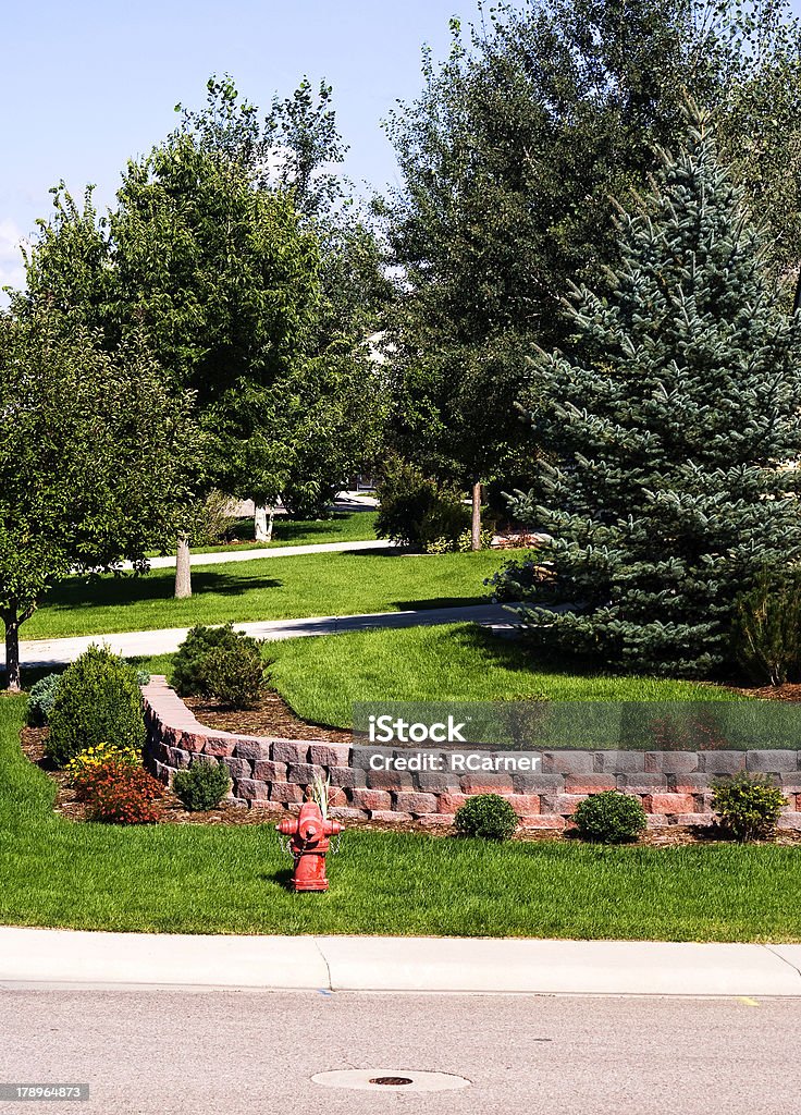 Retaining wall in a suburban neighborhood "A retaing wall in the yard of a suburban home, with trees and shrubs." Blue Spruce Stock Photo