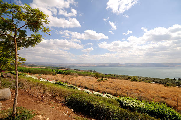 istock view at the sea of galilee 178964977