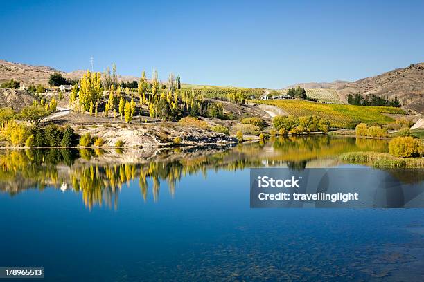 New Zealand Otago Autumn Colour Stock Photo - Download Image Now - Autumn, Autumn Leaf Color, Blue
