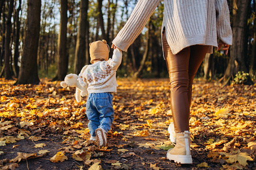 The back view of a single mother walking with her baby in a park during the autumn season, symbolizing the bond and tranquility shared between them in a natural setting