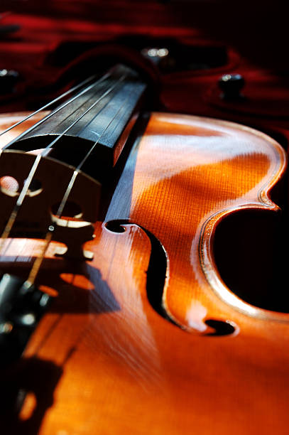 violon - violin cello music letter f photos et images de collection