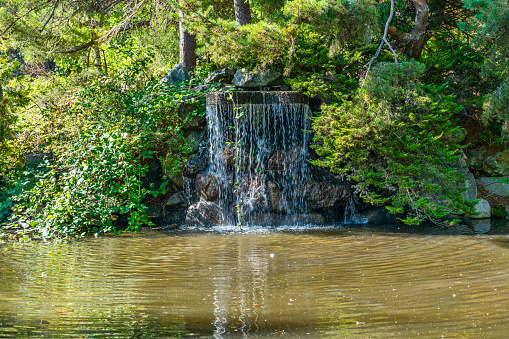 A view of a waterfall at Point Defiances Park in Tacoma, Washington.